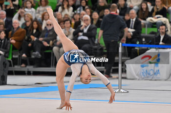 2024-11-23 - Alice D'Amato (Fiamme Oro) - GRAND PRIX DI GINNASTICA - GYMNASTICS - OTHER SPORTS