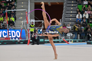 2024-11-23 - Tara Dragas - GRAND PRIX DI GINNASTICA - GYMNASTICS - OTHER SPORTS