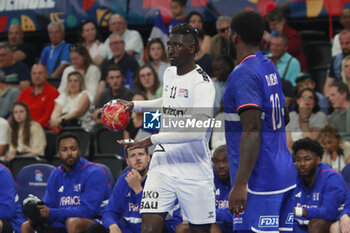 2024-05-11 - Aboubakar FOFANA of United States and Dika MEM of France during the International Friendly Handball match between France and United States on May 11, 2024 at LDLC Arena in Décines-Charpieu near Lyon, France - HANDBALL - FRIENDLY GAME - FRANCE V UNITED STATES - HANDBALL - OTHER SPORTS