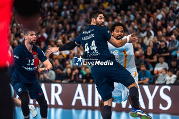 2024-05-31 - Nikola Karabatic of PSG and Luka Karabatic of PSG during the French championship Liqui Molly Starligue Handball match between Paris Saint-Germain Handball and PAUC (Pays d'Aix Université Club Handball) on May 31, 2024 at Accor Arena in Paris, France - HANDBALL - FRENCH CHAMP - PARIS SG V PAUC - HANDBALL - OTHER SPORTS