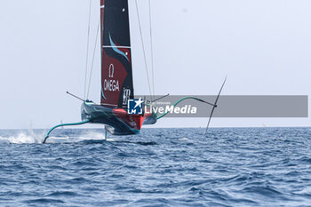 2024-09-01 - Emirates Team New Zealand (NZ) - AMERICA'S CUP - LOUIS VUITTON CUP - ROUND ROBIN 1 & 2 - SAILING - OTHER SPORTS