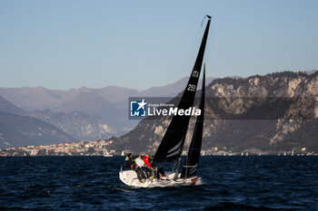 03/11/2024 - Torben Grael- with her team, “Coppa dei Bravi” – Trofeo Kong, match-race regatta for charity held in the Gulf of Lecco (LC), Italy, 01.11.2024. Photo by Marius Bunduc/LiveMedia - COPPA DEI BRAVI - VELA - ALTRO