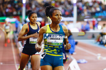 2024-02-23 - WORKNESH MESELE (ETH) competes the 800m Women during the World Athletics Indoor Tour Gold Madrid 24 on February 23, 2024 at Polideportivo Gallur in Madrid, Spain - ATHLETICS - WORLD INDOOR TOUR GOLD - MADRID 2024 - INTERNATIONALS - ATHLETICS