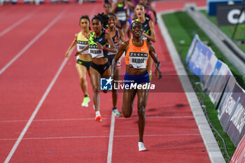 2024-07-12 - 5000M WOMEN: AKIDOR Margaret (KEN) the winner - DIAMOND LEAGUE - HERCULIS MEETING INTERNATIONAL D'ATHLETISME - INTERNATIONALS - ATHLETICS