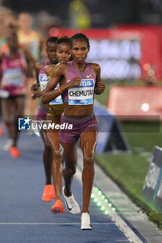 2024-08-30 - Peruth CHEMUTAI (UGA) competes in 3000m Steeplechase Women during the Diamond League Athletics 30th August 2024 at the Olimpic Stadium in Rome - GOLDEN GALA PIETRO MENNEA - INTERNATIONALS - ATHLETICS