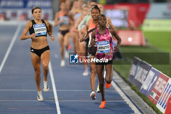 2024-08-30 - Norah JERUTO (KAZ) and Agnieszka CHORZĘPA (POL) compete in 3000m Steeplechase Women and Agnieszka CHORZĘPA (POL) competes in 3000m Steeplechase Women during the Diamond League Athletics 30th August 2024 at the Olimpic Stadium in Rome - GOLDEN GALA PIETRO MENNEA - INTERNATIONALS - ATHLETICS