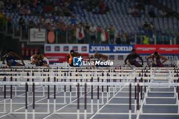 2024-08-30 - 110m Hurdles Men during the Diamond League Athletics 30th August 2024 at the Olimpic Stadium in Rome - GOLDEN GALA PIETRO MENNEA - INTERNATIONALS - ATHLETICS