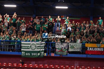 2024-10-17 - Supporters of (Zalgiris Kaunas) - EA7 EMPORIO ARMANI MILANO VS ZALGIRIS KAUNAS - EUROLEAGUE - BASKETBALL