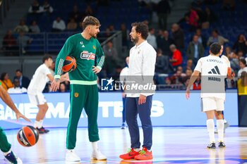 2024-10-17 - 17th October 2024; Wizink Center; Madrid, Spain; Turkish Airlines Euroleague Basketball; Spain, Real Madrid vs Panathinaikos;Euroleague Basket Real Madrid v Panathinaikos 900/Cordon Press - REAL MADRID VS PANATHINAIKOS - EUROLEAGUE - BASKETBALL