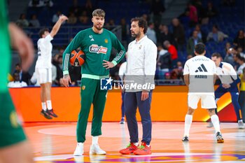 2024-10-17 - 17th October 2024; Wizink Center; Madrid, Spain; Turkish Airlines Euroleague Basketball; Spain, Real Madrid vs Panathinaikos;Euroleague Basket Real Madrid v Panathinaikos 900/Cordon Press - REAL MADRID VS PANATHINAIKOS - EUROLEAGUE - BASKETBALL