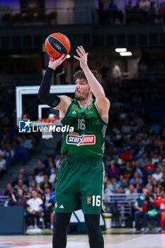 2024-10-17 - 17th October 2024; Wizink Center; Madrid, Spain; Turkish Airlines Euroleague Basketball; Spain, Real Madrid vs Panathinaikos;Euroleague Basket Real Madrid v Panathinaikos 900/Cordon Press - REAL MADRID VS PANATHINAIKOS - EUROLEAGUE - BASKETBALL