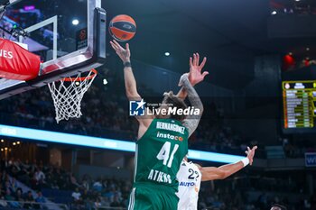 2024-10-17 - 17th October 2024; Wizink Center; Madrid, Spain; Turkish Airlines Euroleague Basketball; Spain, Real Madrid vs Panathinaikos;Euroleague Basket Real Madrid v Panathinaikos 900/Cordon Press - REAL MADRID VS PANATHINAIKOS - EUROLEAGUE - BASKETBALL