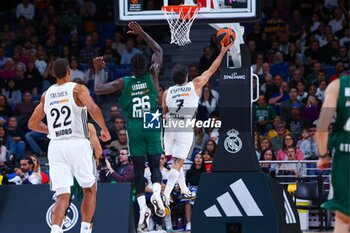 2024-10-17 - 17th October 2024; Wizink Center; Madrid, Spain; Turkish Airlines Euroleague Basketball; Spain, Real Madrid vs Panathinaikos;Euroleague Basket Real Madrid v Panathinaikos 900/Cordon Press - REAL MADRID VS PANATHINAIKOS - EUROLEAGUE - BASKETBALL