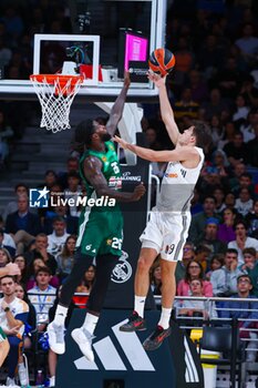 2024-10-17 - 17th October 2024; Wizink Center; Madrid, Spain; Turkish Airlines Euroleague Basketball; Spain, Real Madrid vs Panathinaikos;Euroleague Basket Real Madrid v Panathinaikos 900/Cordon Press - REAL MADRID VS PANATHINAIKOS - EUROLEAGUE - BASKETBALL