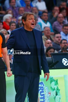 2024-10-17 - 17th October 2024; Wizink Center; Madrid, Spain; Turkish Airlines Euroleague Basketball; Spain, Real Madrid vs Panathinaikos;Euroleague Basket Real Madrid v Panathinaikos 900/Cordon Press - REAL MADRID VS PANATHINAIKOS - EUROLEAGUE - BASKETBALL