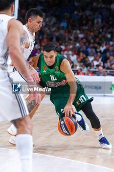 2024-10-17 - 17th October 2024; Wizink Center; Madrid, Spain; Turkish Airlines Euroleague Basketball; Spain, Real Madrid vs Panathinaikos;Euroleague Basket Real Madrid v Panathinaikos 900/Cordon Press - REAL MADRID VS PANATHINAIKOS - EUROLEAGUE - BASKETBALL