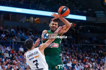 2024-10-17 - 17th October 2024; Wizink Center; Madrid, Spain; Turkish Airlines Euroleague Basketball; Spain, Real Madrid vs Panathinaikos;Euroleague Basket Real Madrid v Panathinaikos 900/Cordon Press - REAL MADRID VS PANATHINAIKOS - EUROLEAGUE - BASKETBALL