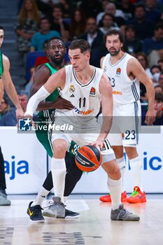 2024-10-17 - 17th October 2024; Wizink Center; Madrid, Spain; Turkish Airlines Euroleague Basketball; Spain, Real Madrid vs Panathinaikos;Euroleague Basket Real Madrid v Panathinaikos 900/Cordon Press - REAL MADRID VS PANATHINAIKOS - EUROLEAGUE - BASKETBALL