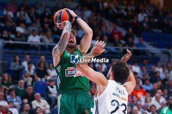 2024-10-17 - 17th October 2024; Wizink Center; Madrid, Spain; Turkish Airlines Euroleague Basketball; Spain, Real Madrid vs Panathinaikos;Euroleague Basket Real Madrid v Panathinaikos 900/Cordon Press - REAL MADRID VS PANATHINAIKOS - EUROLEAGUE - BASKETBALL