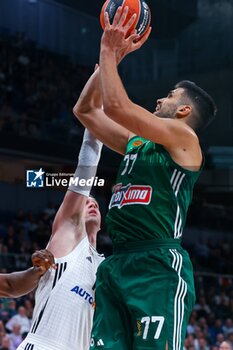 2024-10-17 - 17th October 2024; Wizink Center; Madrid, Spain; Turkish Airlines Euroleague Basketball; Spain, Real Madrid vs Panathinaikos;Euroleague Basket Real Madrid v Panathinaikos 900/Cordon Press - REAL MADRID VS PANATHINAIKOS - EUROLEAGUE - BASKETBALL