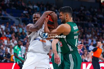 2024-10-17 - 17th October 2024; Wizink Center; Madrid, Spain; Turkish Airlines Euroleague Basketball; Spain, Real Madrid vs Panathinaikos;Euroleague Basket Real Madrid v Panathinaikos 900/Cordon Press - REAL MADRID VS PANATHINAIKOS - EUROLEAGUE - BASKETBALL