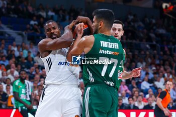 2024-10-17 - 17th October 2024; Wizink Center; Madrid, Spain; Turkish Airlines Euroleague Basketball; Spain, Real Madrid vs Panathinaikos;Euroleague Basket Real Madrid v Panathinaikos 900/Cordon Press - REAL MADRID VS PANATHINAIKOS - EUROLEAGUE - BASKETBALL