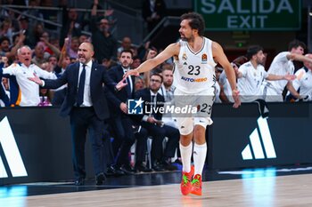 2024-10-17 - 17th October 2024; Wizink Center; Madrid, Spain; Turkish Airlines Euroleague Basketball; Spain, Real Madrid vs Panathinaikos;Euroleague Basket Real Madrid v Panathinaikos 900/Cordon Press - REAL MADRID VS PANATHINAIKOS - EUROLEAGUE - BASKETBALL