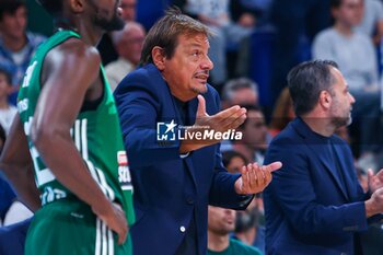 2024-10-17 - 17th October 2024; Wizink Center; Madrid, Spain; Turkish Airlines Euroleague Basketball; Spain, Real Madrid vs Panathinaikos;Euroleague Basket Real Madrid v Panathinaikos 900/Cordon Press - REAL MADRID VS PANATHINAIKOS - EUROLEAGUE - BASKETBALL