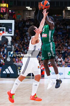 2024-10-17 - 17th October 2024; Wizink Center; Madrid, Spain; Turkish Airlines Euroleague Basketball; Spain, Real Madrid vs Panathinaikos;Euroleague Basket Real Madrid v Panathinaikos 900/Cordon Press - REAL MADRID VS PANATHINAIKOS - EUROLEAGUE - BASKETBALL