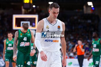 2024-10-17 - 17th October 2024; Wizink Center; Madrid, Spain; Turkish Airlines Euroleague Basketball; Spain, Real Madrid vs Panathinaikos; Mario Hezonja (Real Madrid)Euroleague Basket Real Madrid v Panathinaikos 900/Cordon Press - REAL MADRID VS PANATHINAIKOS - EUROLEAGUE - BASKETBALL