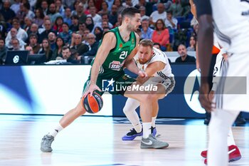 2024-10-17 - 17th October 2024; Wizink Center; Madrid, Spain; Turkish Airlines Euroleague Basketball; Spain, Real Madrid vs Panathinaikos; Euroleague Basket Real Madrid v Panathinaikos 900/Cordon Press - REAL MADRID VS PANATHINAIKOS - EUROLEAGUE - BASKETBALL