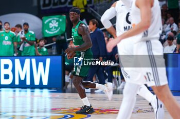 2024-10-17 - 17th October 2024; Wizink Center; Madrid, Spain; Turkish Airlines Euroleague Basketball; Spain, Real Madrid vs Panathinaikos; Nunn (Panathinaikos) Euroleague Basket Real Madrid v Panathinaikos 900/Cordon Press - REAL MADRID VS PANATHINAIKOS - EUROLEAGUE - BASKETBALL