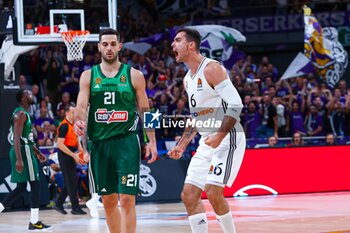 2024-10-17 - 17th October 2024; Wizink Center; Madrid, Spain; Turkish Airlines Euroleague Basketball; Spain, Real Madrid vs Panathinaikos; Alberto Abalde (Real Madrid)Euroleague Basket Real Madrid v Panathinaikos 900/Cordon Press - REAL MADRID VS PANATHINAIKOS - EUROLEAGUE - BASKETBALL