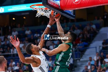 2024-10-17 - 17th October 2024; Wizink Center; Madrid, Spain; Turkish Airlines Euroleague Basketball; Spain, Real Madrid vs Panathinaikos;Euroleague Basket Real Madrid v Panathinaikos 900/Cordon Press - REAL MADRID VS PANATHINAIKOS - EUROLEAGUE - BASKETBALL