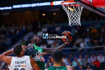 2024-10-17 - 17th October 2024; Wizink Center; Madrid, Spain; Turkish Airlines Euroleague Basketball; Spain, Real Madrid vs Panathinaikos;Euroleague Basket Real Madrid v Panathinaikos 900/Cordon Press - REAL MADRID VS PANATHINAIKOS - EUROLEAGUE - BASKETBALL