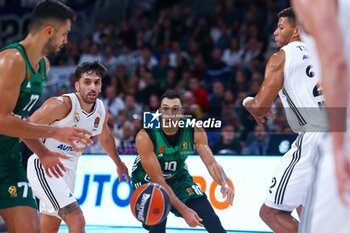 2024-10-17 - 17th October 2024; Wizink Center; Madrid, Spain; Turkish Airlines Euroleague Basketball; Spain, Real Madrid vs Panathinaikos;Euroleague Basket Real Madrid v Panathinaikos 900/Cordon Press - REAL MADRID VS PANATHINAIKOS - EUROLEAGUE - BASKETBALL