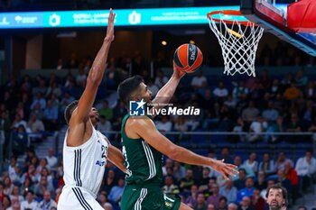 2024-10-17 - 17th October 2024; Wizink Center; Madrid, Spain; Turkish Airlines Euroleague Basketball; Spain, Real Madrid vs Panathinaikos;Euroleague Basket Real Madrid v Panathinaikos 900/Cordon Press - REAL MADRID VS PANATHINAIKOS - EUROLEAGUE - BASKETBALL