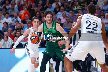 2024-10-17 - 17th October 2024; Wizink Center; Madrid, Spain; Turkish Airlines Euroleague Basketball; Spain, Real Madrid vs Panathinaikos; Osman (Panathinaikos)Euroleague Basket Real Madrid v Panathinaikos 900/Cordon Press - REAL MADRID VS PANATHINAIKOS - EUROLEAGUE - BASKETBALL