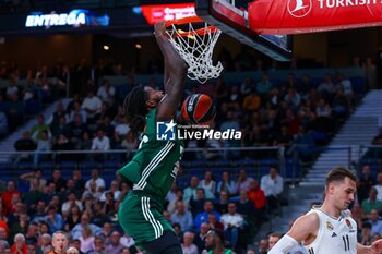 2024-10-17 - 17th October 2024; Wizink Center; Madrid, Spain; Turkish Airlines Euroleague Basketball; Spain, Real Madrid vs Panathinaikos; Mathias Lessort (Panathinaikos)Euroleague Basket Real Madrid v Panathinaikos 900/Cordon Press - REAL MADRID VS PANATHINAIKOS - EUROLEAGUE - BASKETBALL