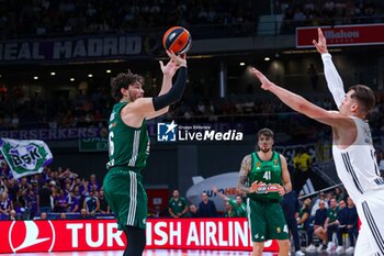 2024-10-17 - 17th October 2024; Wizink Center; Madrid, Spain; Turkish Airlines Euroleague Basketball; Spain, Real Madrid vs Panathinaikos;Euroleague Basket Real Madrid v Panathinaikos 900/Cordon Press - REAL MADRID VS PANATHINAIKOS - EUROLEAGUE - BASKETBALL