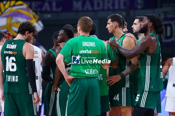 2024-10-17 - 17th October 2024; Wizink Center; Madrid, Spain; Turkish Airlines Euroleague Basketball; Spain, Real Madrid vs Panathinaikos;Euroleague Basket Real Madrid v Panathinaikos 900/Cordon Press - REAL MADRID VS PANATHINAIKOS - EUROLEAGUE - BASKETBALL