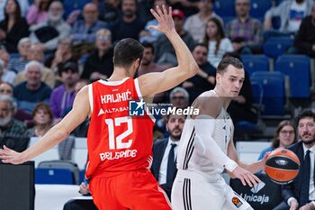 2024-10-22 - 2th October 2024; Wizink Center; Madrid, Spain; Turkish Airlines Euroleague Basketball; Spain, Real Madrid vs Crvena Zvezda; Mario Hezonja (Real Madrid)Euroleague Basketball Real Madrid v Crvena Zvezda 900/Cordon Press - EUROLEAGUE BASKETBALL REAL MADRID V CRVENA ZVEZDA - EUROLEAGUE - BASKETBALL