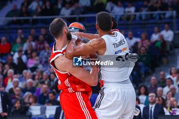 2024-10-22 - 2th October 2024; Wizink Center; Madrid, Spain; Turkish Airlines Euroleague Basketball; Spain, Real Madrid vs Crvena Zvezda; Edy Walter Tavares (Real Madrid)Euroleague Basketball Real Madrid v Crvena Zvezda 900/Cordon Press - EUROLEAGUE BASKETBALL REAL MADRID V CRVENA ZVEZDA - EUROLEAGUE - BASKETBALL