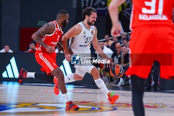 2024-10-24 - 24th October 2024; Wizink Center; Madrid, Spain; Turkish Airlines Euroleague Basketball; Spain, Real Madrid vs Crvena Zvezda; Sergio Llull (Real Madrid)Euroleague Basketball Real Madrid v Crvena Zvezda 900/Cordon Press - EUROLEAGUE BASKETBALL REAL MADRID V CRVENA ZVEZDA - EUROLEAGUE - BASKETBALL