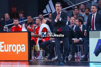 2024-10-24 - 24th October 2024; Wizink Center; Madrid, Spain; Turkish Airlines Euroleague Basketball; Spain, Real Madrid vs Crvena Zvezda; Sfairopoulos (Crvena)Euroleague Basketball Real Madrid v Crvena Zvezda 900/Cordon Press - EUROLEAGUE BASKETBALL REAL MADRID V CRVENA ZVEZDA - EUROLEAGUE - BASKETBALL