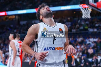 2024-10-24 - 24th October 2024; Wizink Center; Madrid, Spain; Turkish Airlines Euroleague Basketball; Spain, Real Madrid vs Crvena Zvezda; Facundo Campazzo (Real Madrid)Euroleague Basketball Real Madrid v Crvena Zvezda 900/Cordon Press - EUROLEAGUE BASKETBALL REAL MADRID V CRVENA ZVEZDA - EUROLEAGUE - BASKETBALL