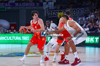 2024-10-24 - 24th October 2024; Wizink Center; Madrid, Spain; Turkish Airlines Euroleague Basketball; Spain, Real Madrid vs Crvena Zvezda; Teodosic (Crvena)Euroleague Basketball Real Madrid v Crvena Zvezda 900/Cordon Press - EUROLEAGUE BASKETBALL REAL MADRID V CRVENA ZVEZDA - EUROLEAGUE - BASKETBALL