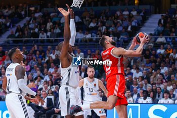 2024-10-24 - 24th October 2024; Wizink Center; Madrid, Spain; Turkish Airlines Euroleague Basketball; Spain, Real Madrid vs Crvena Zvezda; Plavsic (Crvena)Euroleague Basketball Real Madrid v Crvena Zvezda 900/Cordon Press - EUROLEAGUE BASKETBALL REAL MADRID V CRVENA ZVEZDA - EUROLEAGUE - BASKETBALL