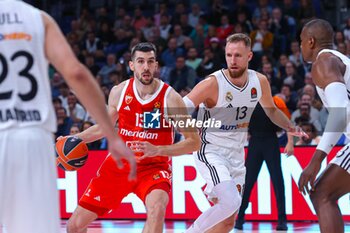 2024-10-24 - 24th October 2024; Wizink Center; Madrid, Spain; Turkish Airlines Euroleague Basketball; Spain, Real Madrid vs Crvena Zvezda; Dobric (Crvena)Euroleague Basketball Real Madrid v Crvena Zvezda 900/Cordon Press - EUROLEAGUE BASKETBALL REAL MADRID V CRVENA ZVEZDA - EUROLEAGUE - BASKETBALL