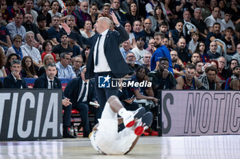 2024-10-25 - Head coach Joan Penarroya (Barca Basket) in action during a EuroLeague match between Braca Basket and Asvel Villeurbanne at Palau Blaugrana in Barcelona, Barcelona, Spain, on October 25 2024. Photo by Felip Mondino / Panoramic - BARÇA BASKET - ASVEL VILLEURBANNE - EUROLEAGUE - BASKETBALL